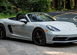 Porsche 718 Boxster na drodze