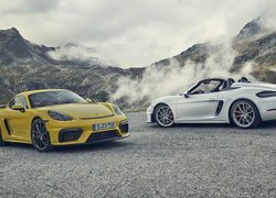 Porsche 718 Cayman GT4, Porsche 718 Spyder