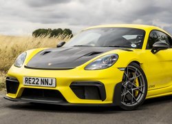 Porsche 718 Cayman GT4 RS Weissach