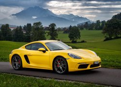 Żółte, Porsche 718 Cayman S, 2016, Góry