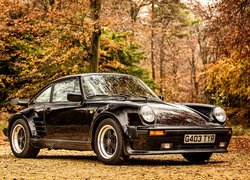 Porsche 911 turbo 930 Limited Edition