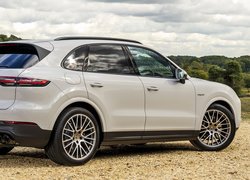 Porsche Cayenne E-Hybrid Platinum Edition