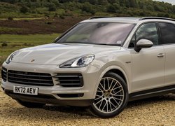 Porsche Cayenne E-Hybrid Platinum