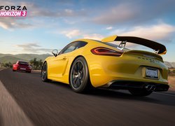 Żółte, Porsche GT4, Gra, Forza Horizon 3
