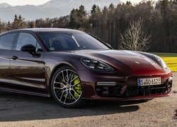 Porsche Panamera E, Hybryda