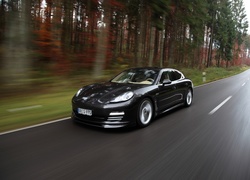 Porsche Panamera TechArt Concept, 2010, Droga, Las