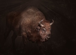 Portret bizona