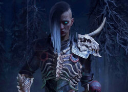 Gra, Diablo IV, Postać, Necromancer, Mężczyzna, Pancerz, Szkielet, Róg