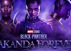 Postacie z filmu Black Panther Wakanda Forever na plakacie