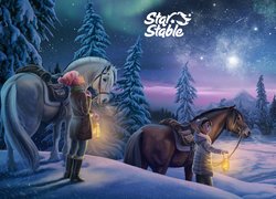 Gra, Star Stable, Konie, Zima