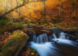 Potok i omszałe kamienie w jesiennym lesie