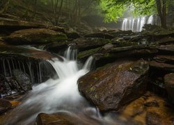 Stany Zjednoczone, Stan Pensylwania, Park stanowy Ricketts Glen State Park, Potok Kitchen Creek, Wodospad Oneida Falls, Las, Rzeka, Kamienie