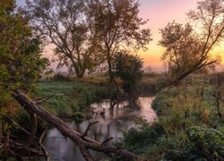 Rzeka, Wschód słońca, Drzewa, Konary
