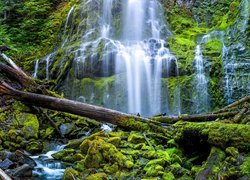 Stany Zjednoczone, Stan Oregon, Wodospad, Proxy Falls, Omszałe, Kamienie, Konary