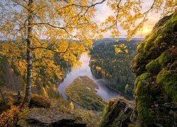 Jesień, Pożółkłe, Drzewa, Brzoza, Rzeka