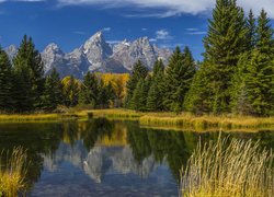 Park Narodowy Grand Teton, Góry Skaliste, Drzewa, Trawa, Rzeka, Snake River, Odbicie, Stan Wyoming, Stany Zjednoczone