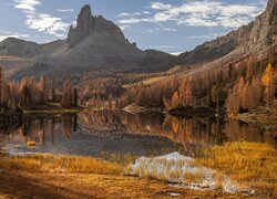 Pożółkłe drzewa i trawa nad jeziorem Lago Federa z widokiem na Dolomity w oddali