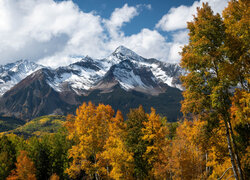 Stany Zjednoczone, Kolorado, Telluride, Jesień, Góry, San Juan Mountains, Las, Drzewa, Chmury