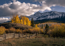 Pożółkłe drzewa na tle gór San Juan Mountains