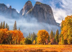 Stany Zjednoczone, Kalifornia, Park Narodowy Yosemite, Skały, Jesień, Mgła, Drzewa, Góry