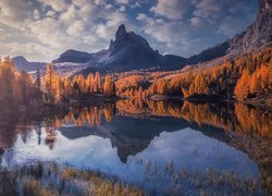 Pożółkłe drzewa nad jeziorem Lago Federa i góry Cortina dAmpezzo