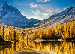 Jesień, Góry, Dolomity, Jezioro, Lago Federa, Pożółkłe, Drzewa, Cortina dAmpezzo, Włochy