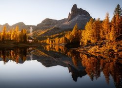 Pożółkłe drzewa nad jeziorem Lago Federa na tle gór