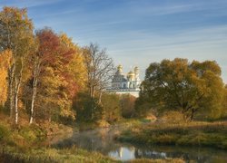 Pożółkłe drzewa nad rzeką Istra