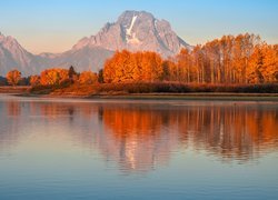 Pożółkłe drzewa nad rzeką Snake River na tle gór Teton Range w Wyoming