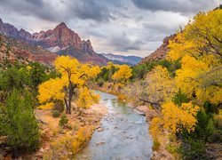 Jesień, Góry, Góra Watchman, Rzeka, Virgin River, Drzewa, Park Narodowy Zion, Utah, Stany Zjednoczone