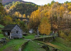 Jesień, Drzewa, Wiadukt, Dom, Dolina Vigezzo, Włochy