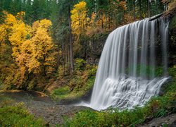 Wodospad, Drzewa, Las, Jesień
