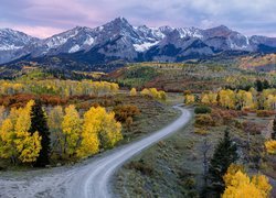 Pożółkłe drzewa przy drodze z widokiem na góry San Juan Mountains