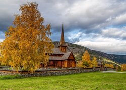 Pożółkłe drzewa przy kościele Lom stavkirke w Norwegii