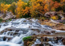 Pożółkłe drzewa przy potoku Fossil Creek w Arizonie