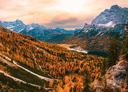 Góry, Dolomity, Cadini di Misurina, Drzewa, Dolina, Włochy