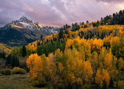 Stany Zjednoczone, Kolorado, Mount Sneffels, Jesień, Góry, Las, Drzewa, Chmury, Niebo