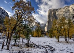 Jesień, Góry, Szczyt, El Capitan, Żółte, Drzewa, Śnieg, Park Narodowy Yosemite, Stan Kalifornia, Stany Zjednoczone