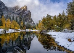 Pożółkłe drzewa w śniegu nad rzeką Merced w Parku Narodowym Yosemite