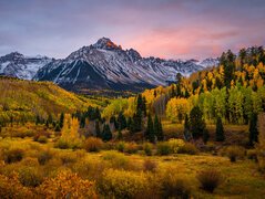 Pożółkłe jesienne drzewa i góra Mount Sneffels pod chmurami