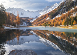 Pożółkłe modrzewie i ośnieżone góry nad jeziorem zimową porą