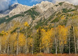 Jesień, Góry, Sawback Range, Góra, Mount Ishbel, Drzewa, Topole osikowe, Park Narodowy Banff, Kanada