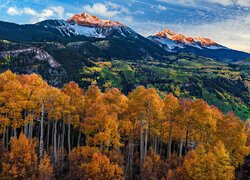 Stany Zjednoczone, Kolorado, San Juan Mountains, San Miguel Range,  Jesień, Las, Góry, Pożółkłe, Drzewa, Topole osikowe, Niebo, Chmury