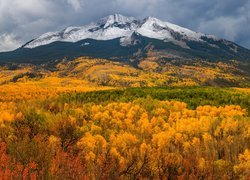 Stany Zjednoczone, Kolorado, Przełęcz, Kebler Pass, Góry, Lasy, Drzewa, Jesień
