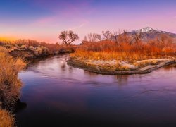 Stany Zjednoczone, Góry, Jesień, Drzewa, Rośliny, Dolina Owens Valley, Rzeka, Owens River, Eastern Sierra, Kalifornia