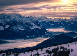 Zima, Góry, Prealpy, Drzewa, Mgła, Zachód słońca, Chmury, Szwajcaria