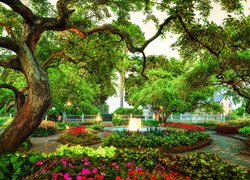 Park, Prescott Park, Wiosna, Kwiaty, Drzewa, Fontanna, Portsmouth, Stan New Hampshire, Stany Zjednoczone