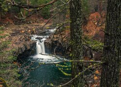 Las, Iglaki, Rzeka, McCloud River, Uskok, Kalifornia, Stany Zjednoczone