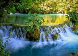 Chorwacja, Park Narodowy Jezior Plitwickich, Las, Rzeka, Zieleń