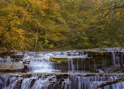 Progi skalne na rzece w jesiennym lesie